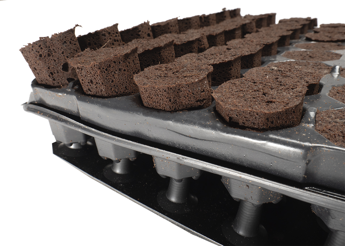 Home Plug Life Horticultural Propogation Trays