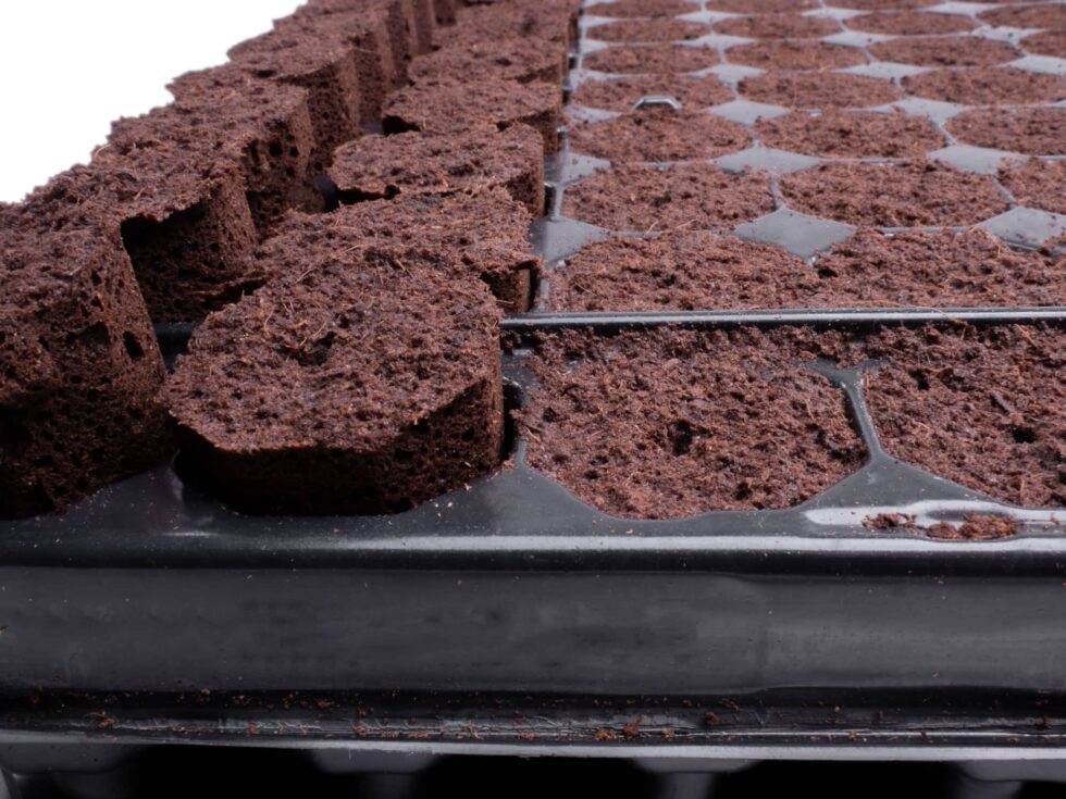 Home Plug Life Horticultural Propogation Trays