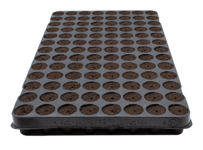 plug life coco propagation trays horticulture