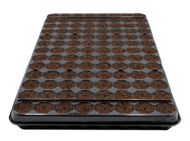 plug life peatmix propagation trays horticulture