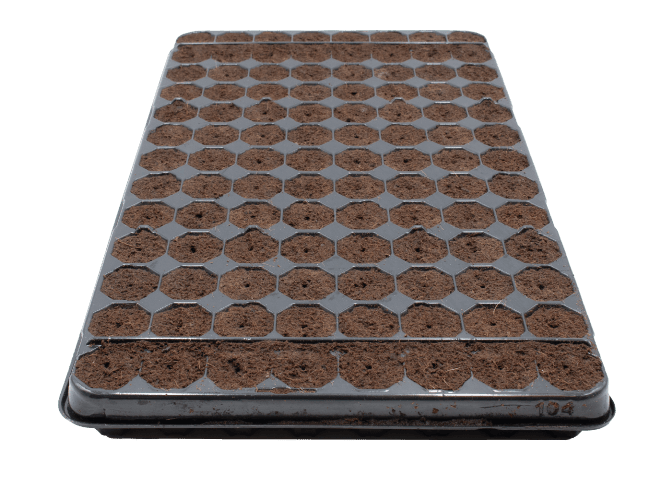 plug life wood fibre propagation trays horticulture